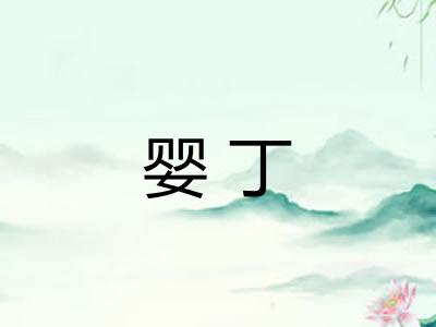 婴丁
