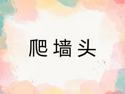 爬墙头