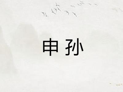 申孙