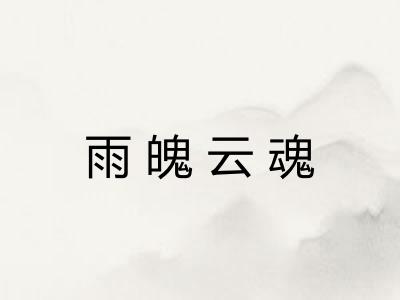 雨魄云魂