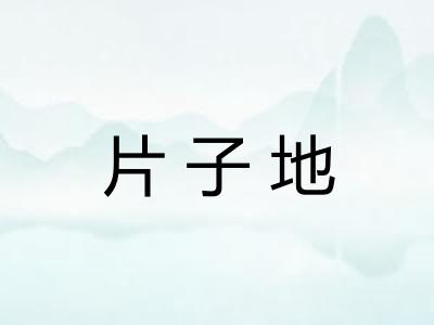 片子地