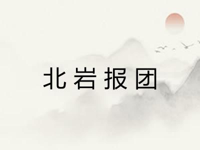 北岩报团