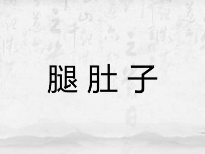 腿肚子