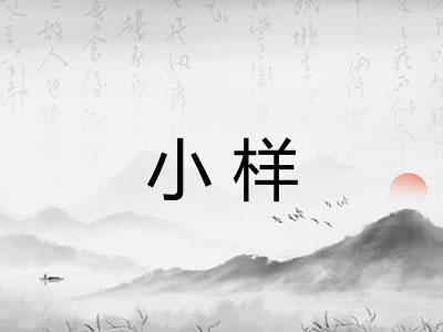 小样