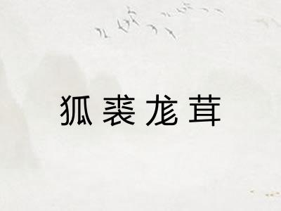 狐裘尨茸 狐裘尨茸