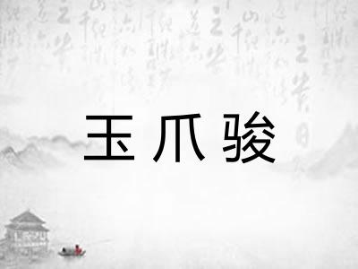 玉爪骏