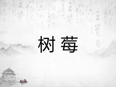 树莓