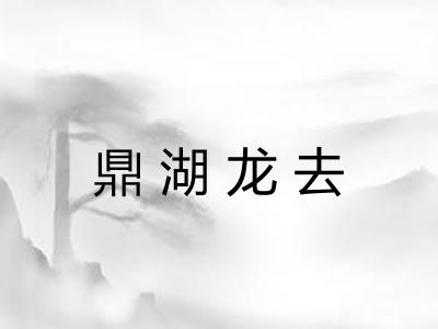 鼎湖龙去