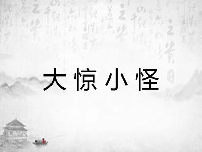 大惊小怪