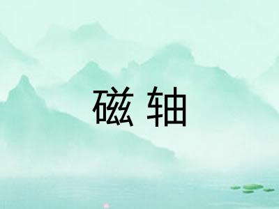 磁轴