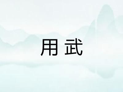 用武