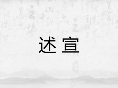 述宣
