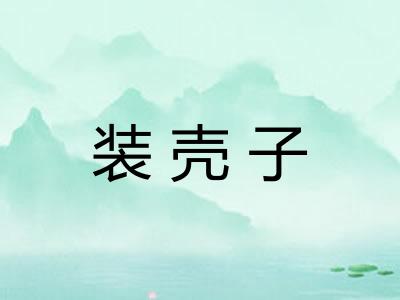 装壳子
