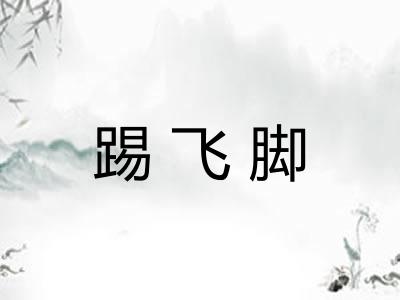 踢飞脚
