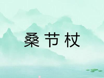 桑节杖