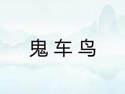 鬼车鸟