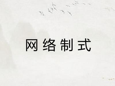 网络制式