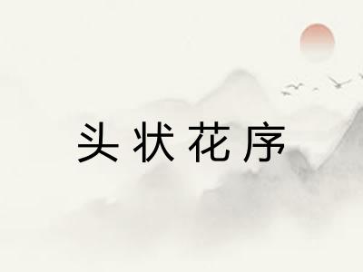 头状花序