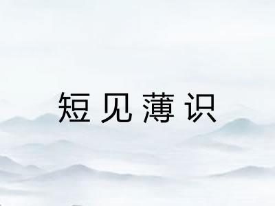 短见薄识