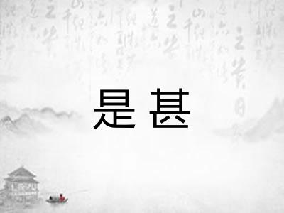是甚