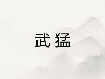 武猛