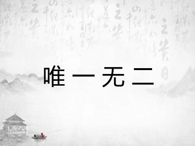 唯一无二