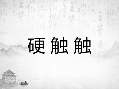 硬触触