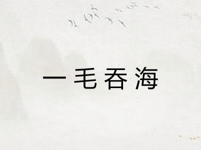 一毛吞海