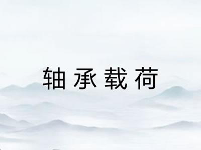 轴承载荷
