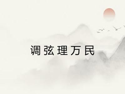 调弦理万民