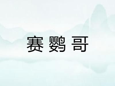 赛鹦哥 赛鹦哥