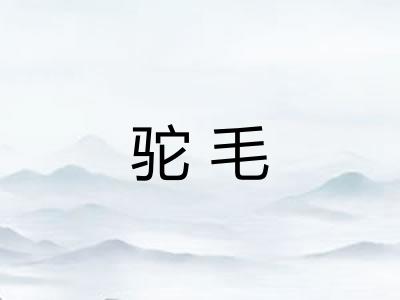 驼毛