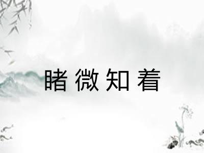 睹微知着