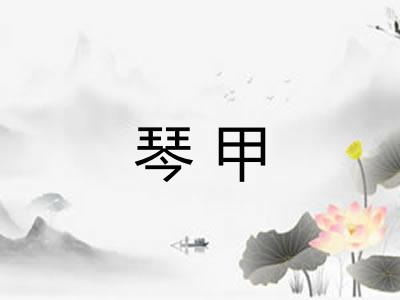 琴甲