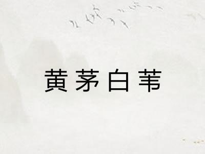 黄茅白苇