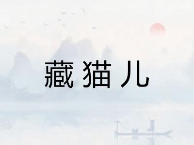 藏猫儿