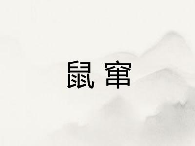 鼠窜