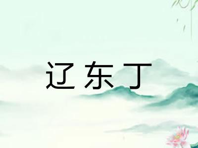 辽东丁