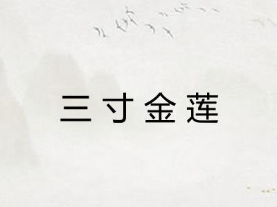 三寸金莲