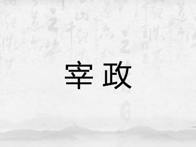 宰政