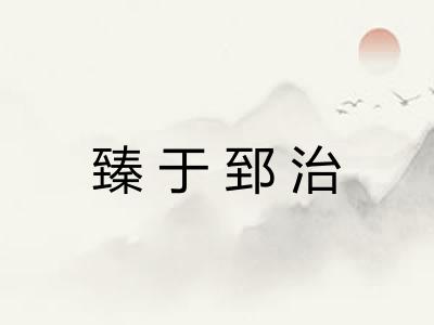臻于郅治