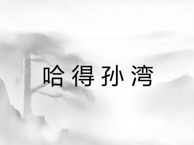 哈得孙湾