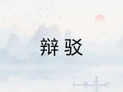 辩驳