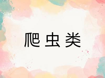 爬虫类