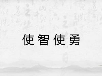 使智使勇
