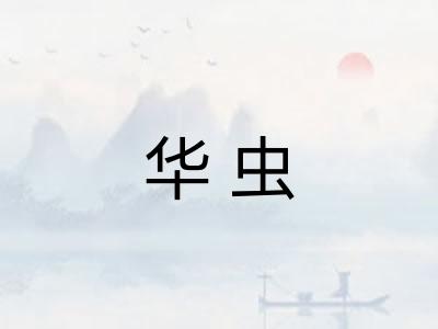 华虫