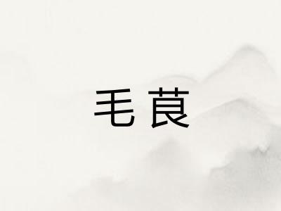毛茛