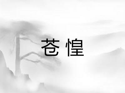苍惶