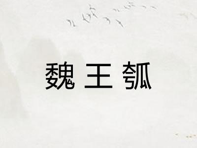 魏王瓠