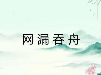 网漏吞舟